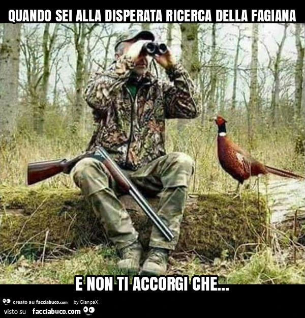 Quando sei alla disperata ricerca della fagiana e non ti accorgi che