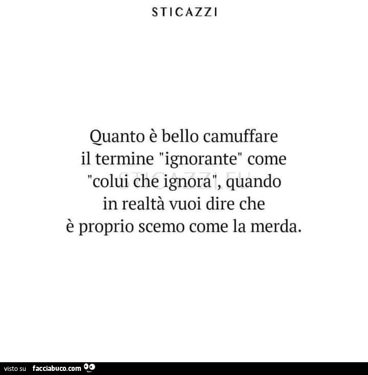 Sticazzi quanto è bello camuffare il termine ignorante come colui che ignora, quando in realtà vuoi dire che è proprio scemo come la merda