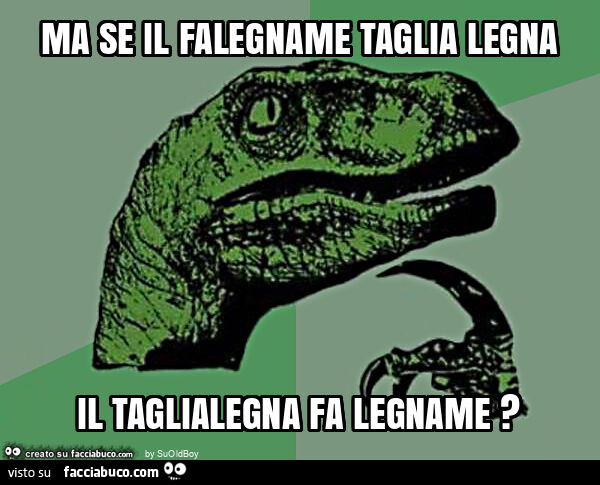 Ma se il falegname taglia legna il taglialegna fa legname?