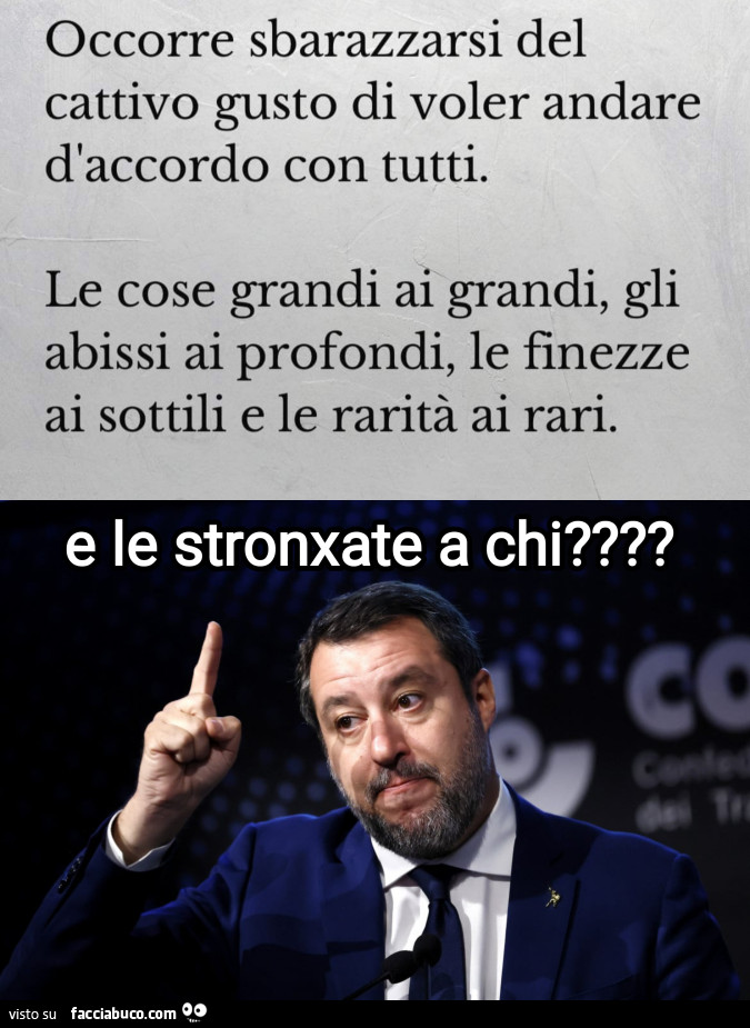 Matteo Salvini stronzate