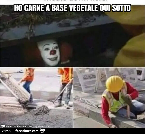 Ho carne a base vegetale qui sotto