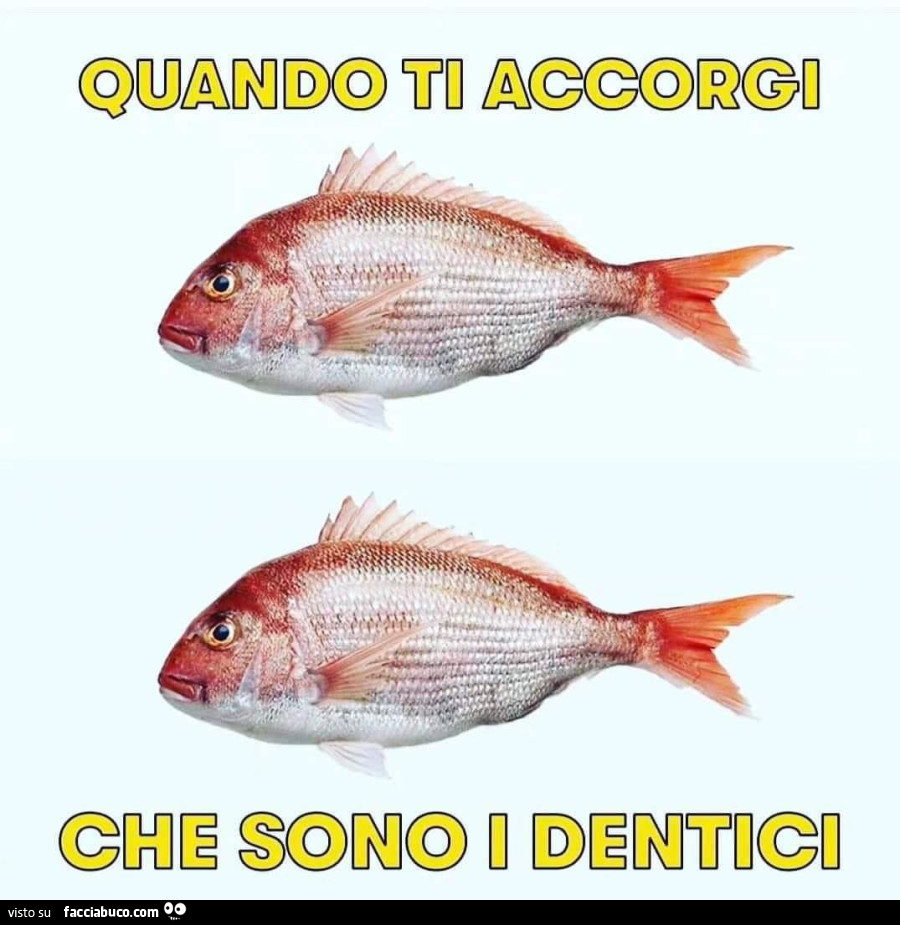 Quando ti accorgi che sono i dentici