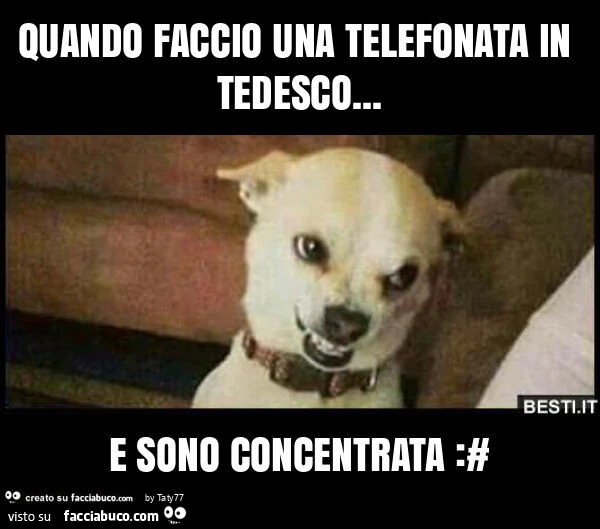 Quando faccio una telefonata in tedesco&hellip; e sono concentrata: #