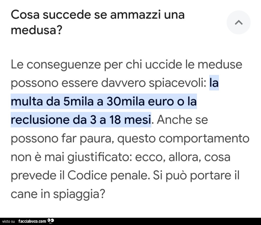 Cosa succede se ammazzi una medusa? Le conseguenze per chi uccide le meduse possono essere davvero spiacevoli: la multa da 5mila a 30mila euro