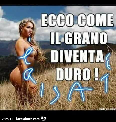 Vaccata