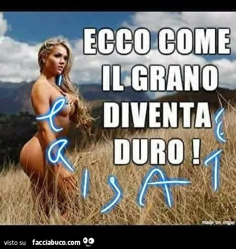 Vaccata