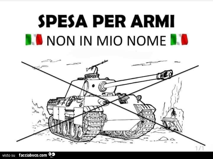 Spesa per armi non in mio nome