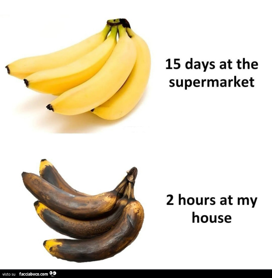 15 days at the supermarket 2 hours at my house