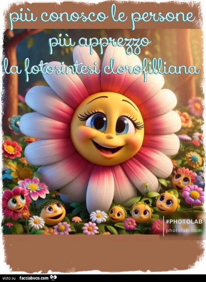 Fotosintesi