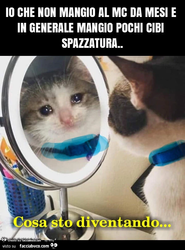 Io che non mangio al mc da mesi e in generale mangio pochi cibi spazzatura