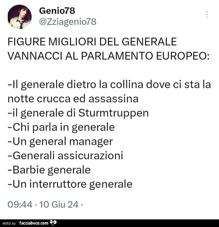 Figure migliori del generale vannacci al parlamento europeo