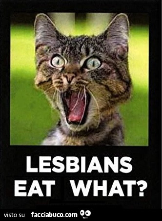 Cat screaming: Lesbians eat what?