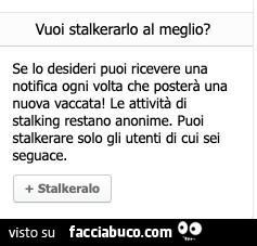 Vuoi stalkerarlo al meglio? Se lo desideri puoi ricevere una notifica ogni volta che posterà una nuova vaccata