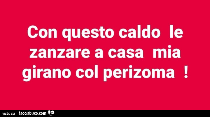 Con questo caldo le zanzare a casa mia girano col perizoma