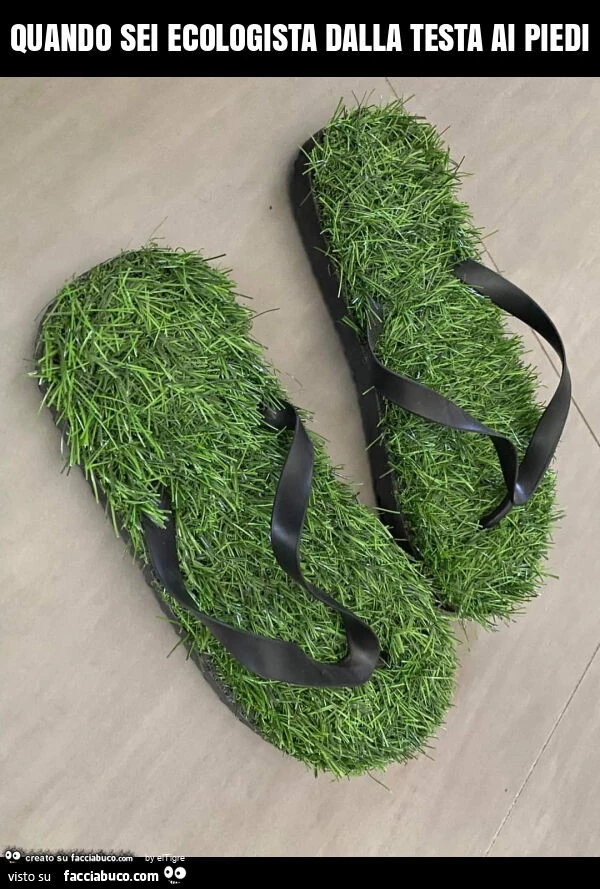 Quando sei ecologista dalla testa ai piedi