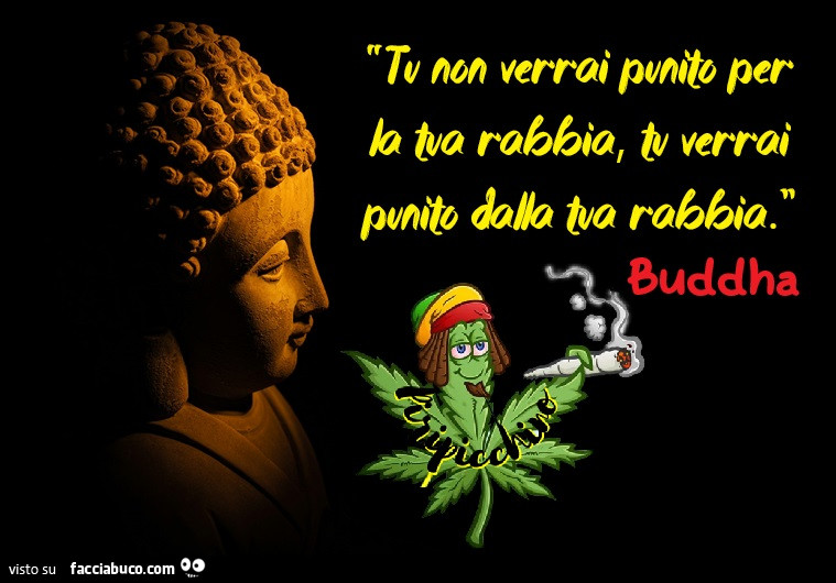 Tu non verrai punito per la tua rabbia, tu verrai punito dalla tua rabbia. Buddha