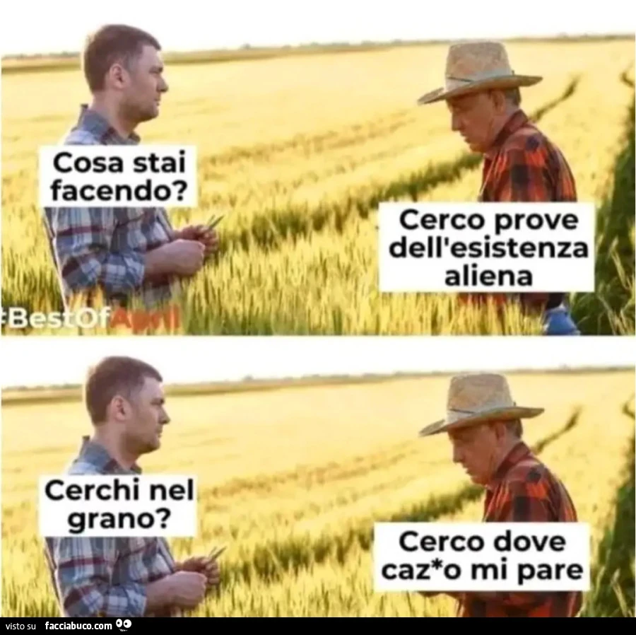 Cosa stai facendo cerco prove dell'esistenza aliena cerchi nel grano cerco dove cazzo mi pare