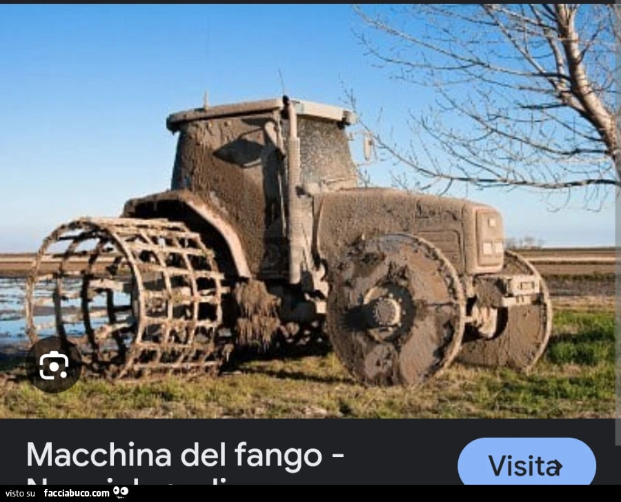 Vaccata