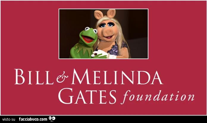 Bill&Melinda Gates foundation