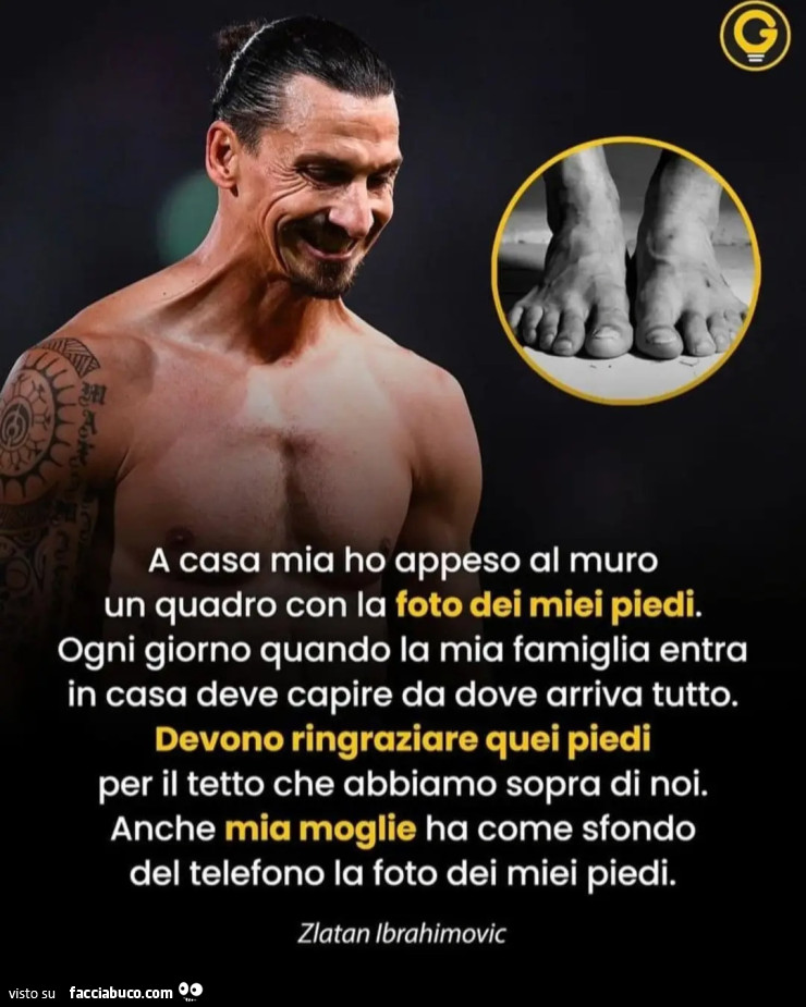 Zlatan ibrahimovic quadro foto piedi