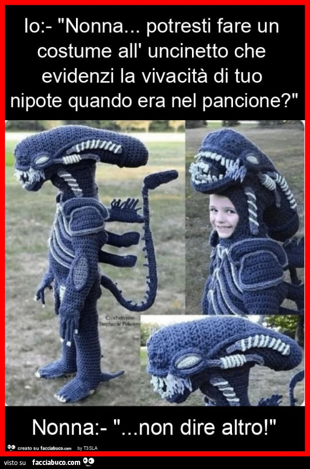 Io: - "nonna&hellip; potresti fare un costume all' uncinetto che evidenzi la vivacità di tuo nipote quando era nel pancione? " Nonna: - "&hellip; non dire altro! "
