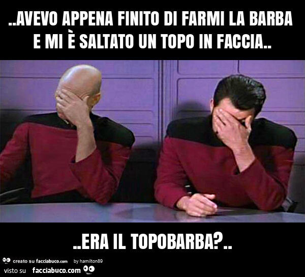 Avevo appena finito di farmi la barba e mi è saltato un topo in faccia… era il topobarba?