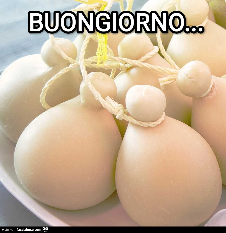 Buongiorno provoloni