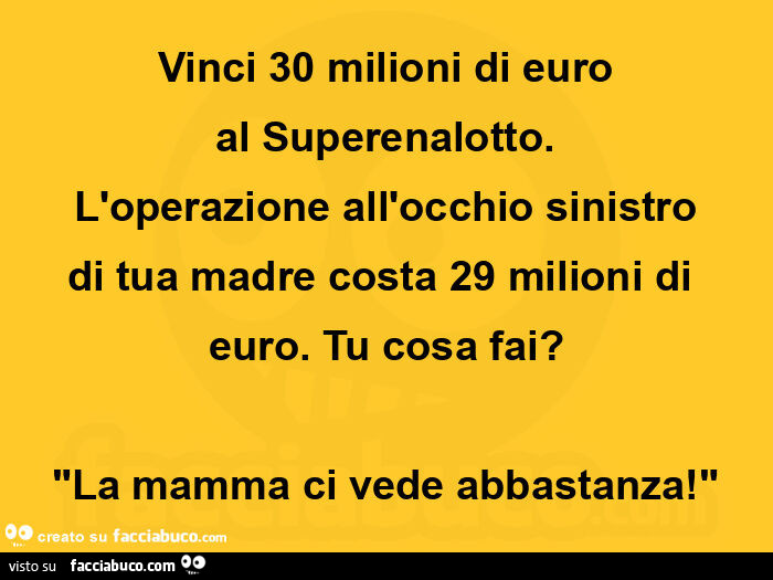 Vinci 30 milioni di euro al superenalotto. L'operazione all'occhio sinistro di tua madre costa 29 milioni di euro. Tu cosa fai? La mamma ci vede abbastanza