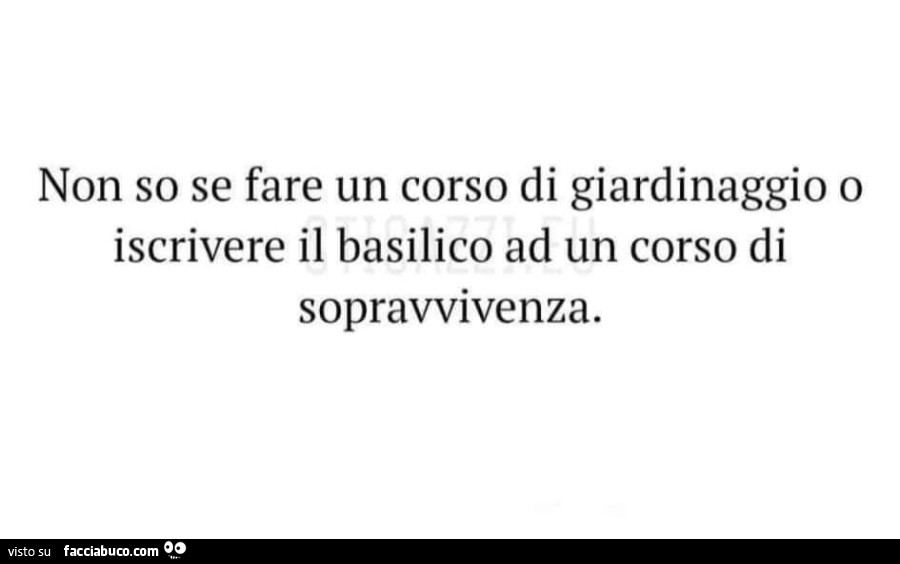 Non so se fare un corso di giardinaggio o iscrivere il basilico ad un corso di sopravvivenza