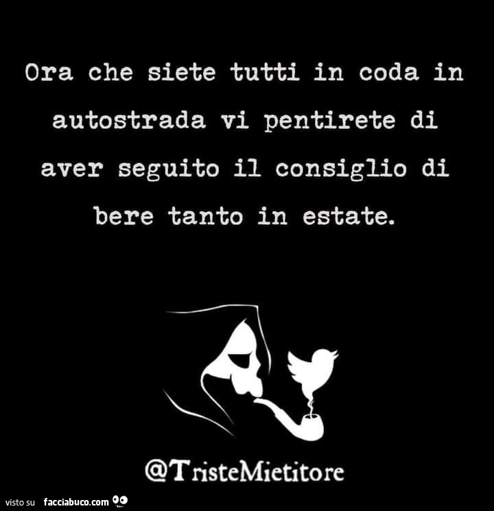 Ora che siete tutti in coda in autostrada vi pentirete di aver seguito il consiglio di bere tanto in estate