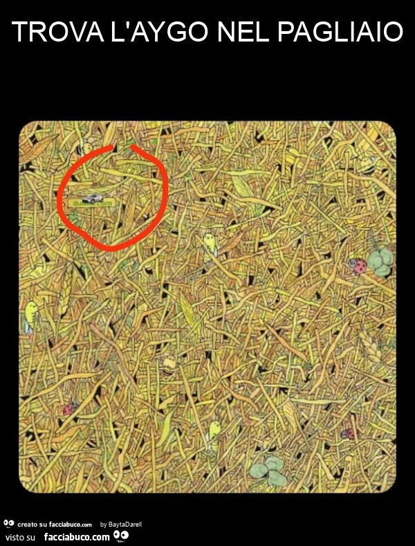 Vaccata