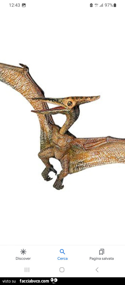 Vaccata