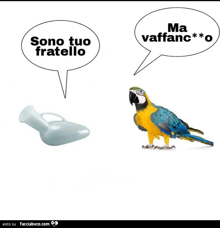 Sono tuo fratello. Ma vaffanculo