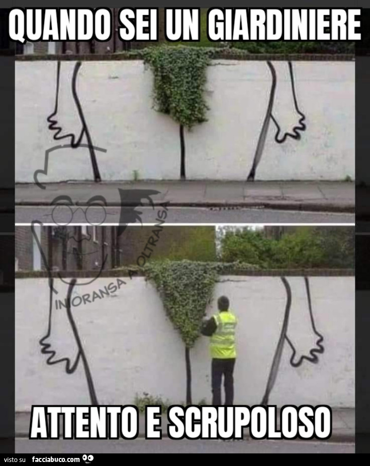 Quando sei un giardiniere attento e scrupoloso