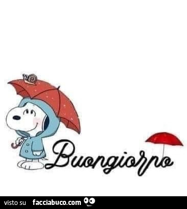 Buongiorno piovoso da Snoopy