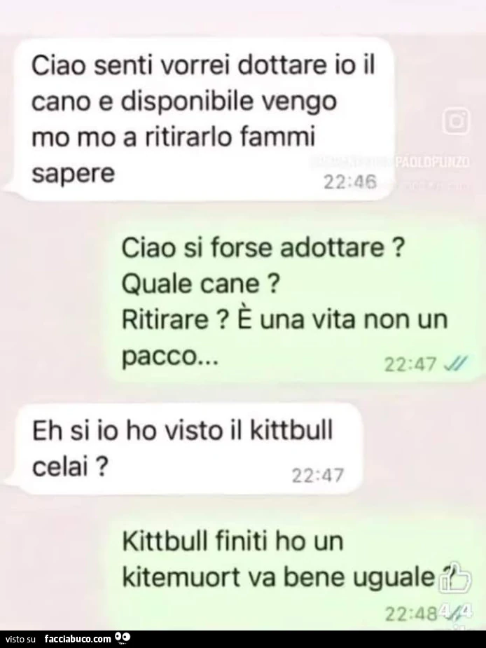 Ciao senti vorrei dottare io il cano e disponibile vengo mo mo a ritirarlo fammi sapere. Ciao si forse adottare? Quale cane? Ritirare? È Una vita non un pacco. Eh si io ho visto il kittbull celai? Kittbull finiti ho un kitemuort va bene uguale?