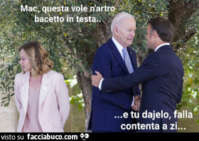 Vaccata