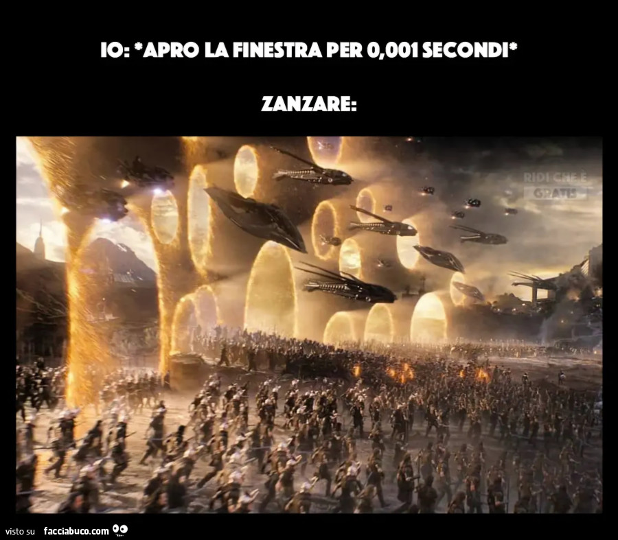 Io apro la finestra per 0,001 secondi zanzare