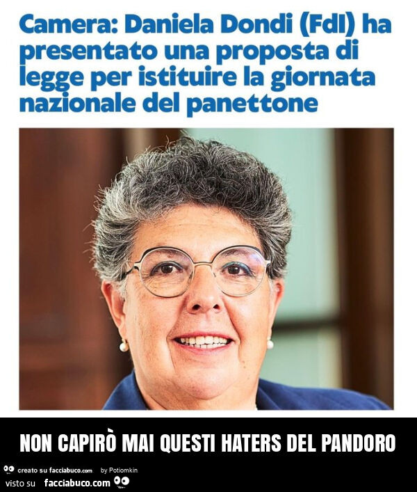 Non capirò mai questi haters del pandoro