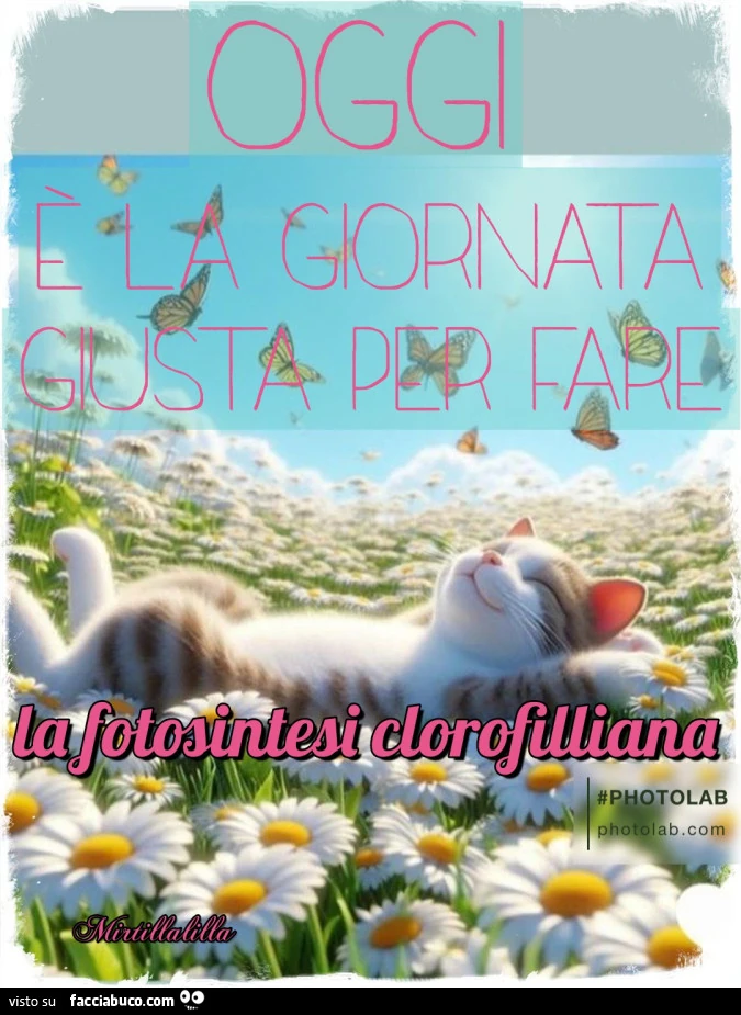 È la giornata giusta