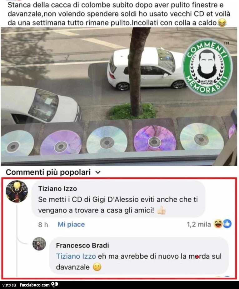 Vaccata