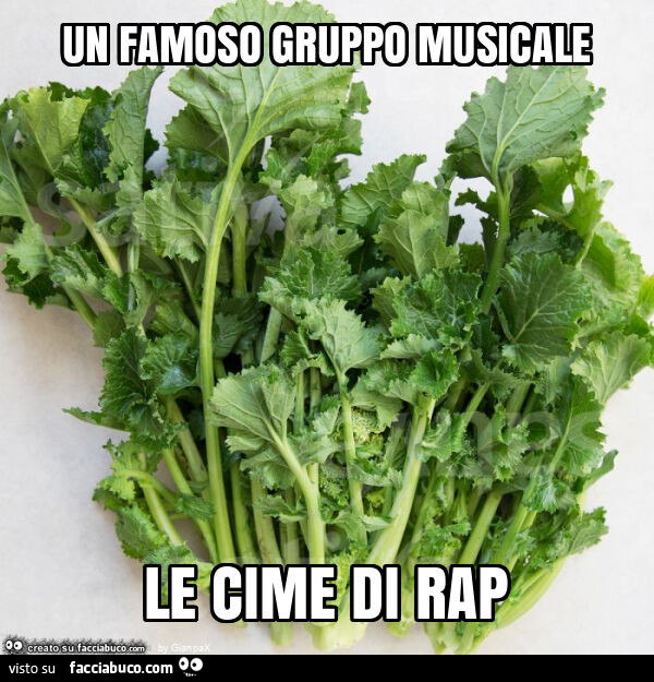 Un famoso gruppo musicale le cime di rap