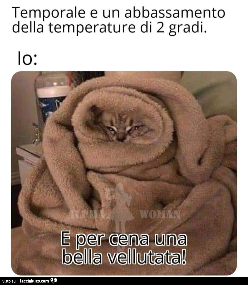 Vaccata