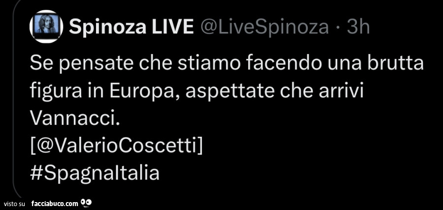 Se pensate che stiamo facendo una brutta figura in europa, aspettate che arrivi vannacci