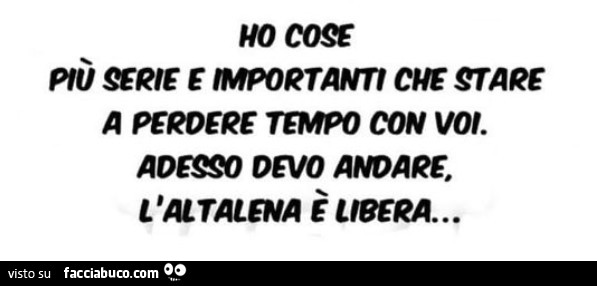 Ho cose più serie e importanti che stare a perdere tempo con voi. Adesso devo andare, l'altalena è libera