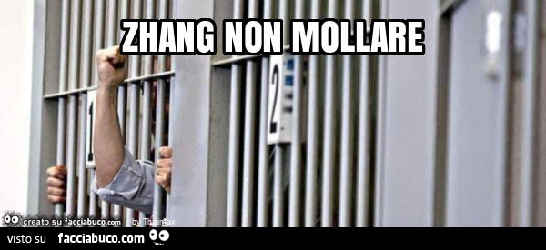 Zhang non mollare