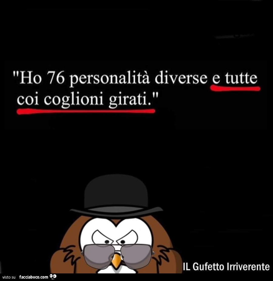 Ho 76 personalità diverse e tutte coi coglioni girati. Il gufetto irriverente