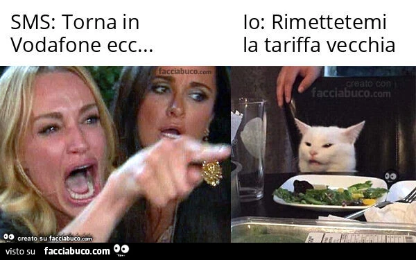 Sms: torna in vodafone ecc&hellip; io: rimettetemi la tariffa vecchia