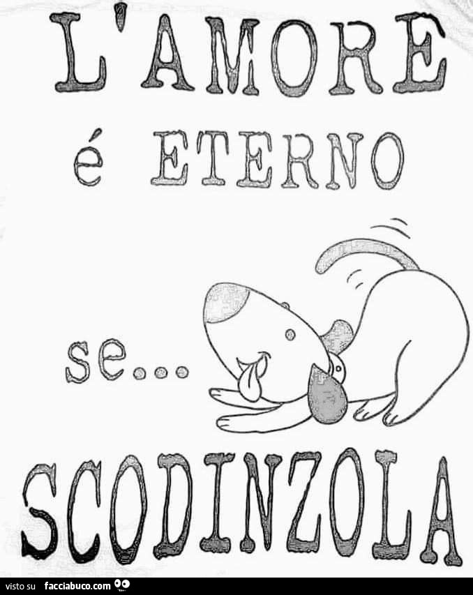 L'amore è eterno se scodinzola