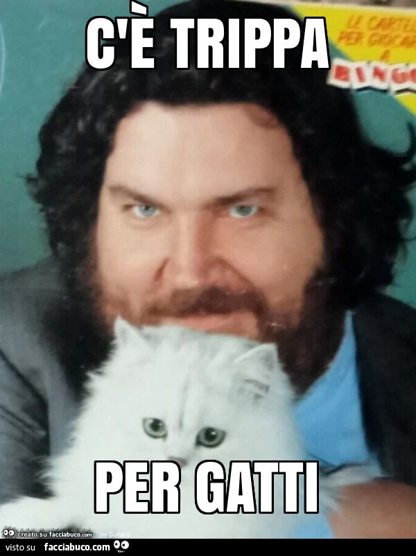 C'รจ trippa per gatti